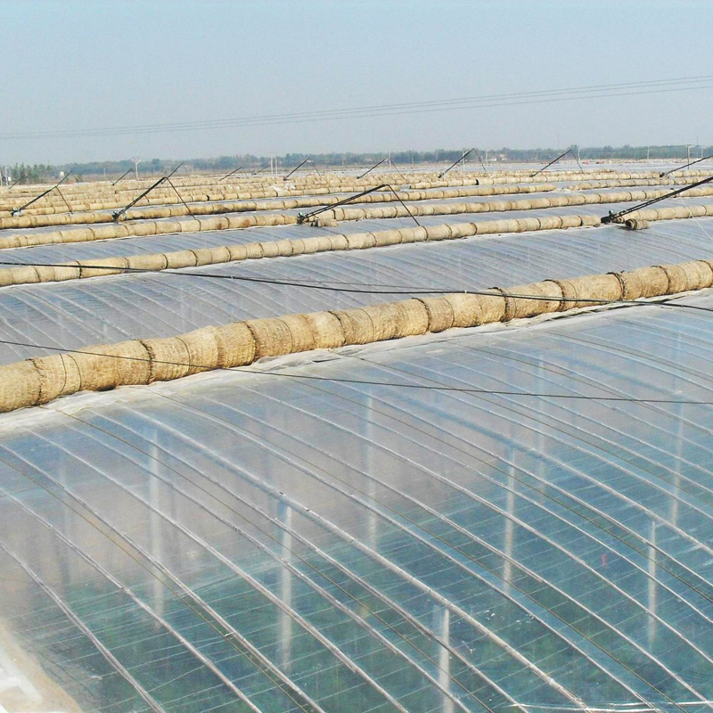 抗霧化、抗滴流劑 塑之寶 SP-3型