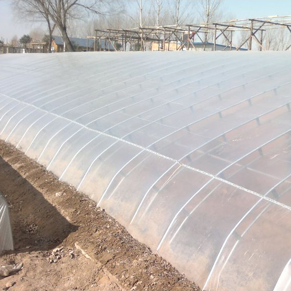 抗霧化、抗滴流劑 塑之寶 SP-3型